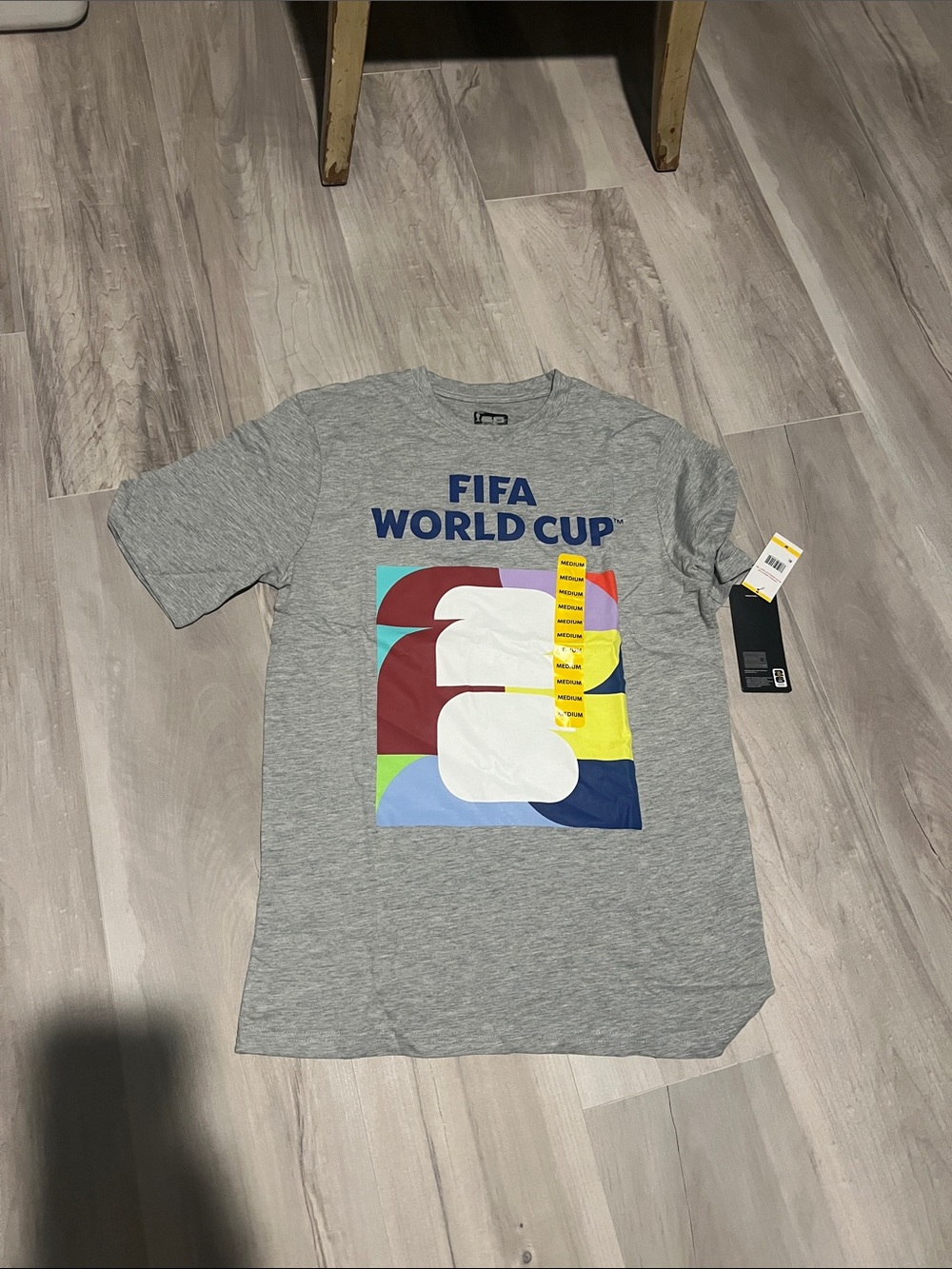 FIFA World Cup Men's Graphic Tee - Gray